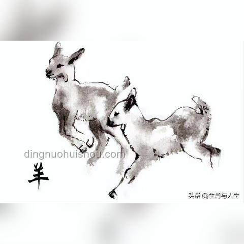 從“猴”到“人”的自我發現之旅??????