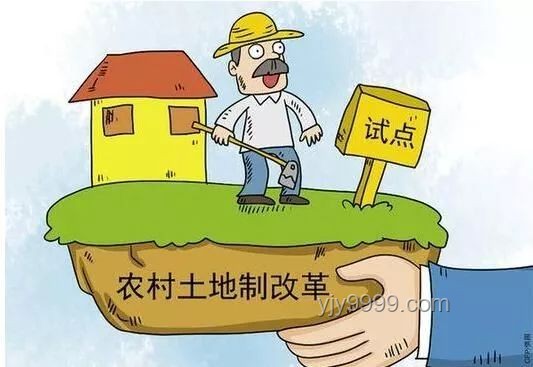 10后小學(xué)生教育趨勢：鄉(xiāng)村助教視角下的變革與前瞻