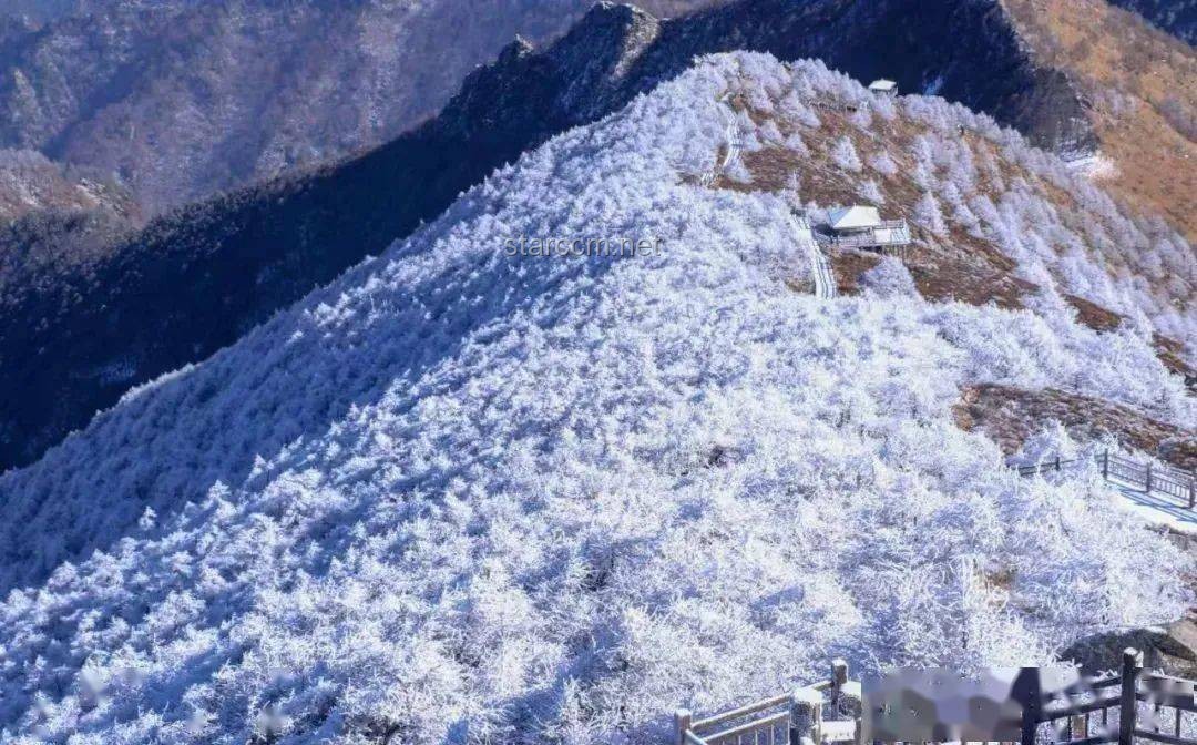 冬季日初·雪境創新啟示錄，大雪，靈感迸發