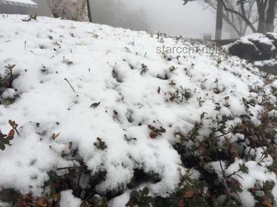 冬季日初·雪境創新啟示錄，大雪，靈感迸發