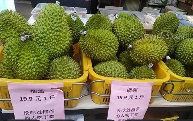 天價垃圾變寶藏？這些別再輕易扔！??榴蓮蟲、發霉鹽的秘密??