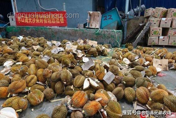 天價垃圾變廢為寶指南：榴蓮蟲、發霉鹽等別再扔！