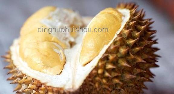 天價垃圾變廢為寶指南：榴蓮蟲、發霉鹽等別再扔！