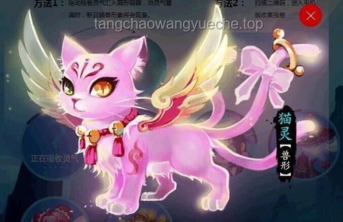 呆貓獸神1養(yǎng)成攻略：惡魔果實喂養(yǎng)神獸技巧