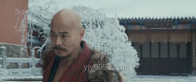 李連杰抖音功夫熱：跨界融合，重塑傳統(tǒng)藝術(shù)新生態(tài)