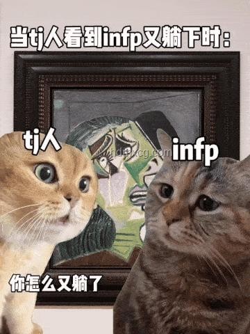 大司馬貓Meme：創(chuàng)意跨界，重塑娛樂新生態(tài)