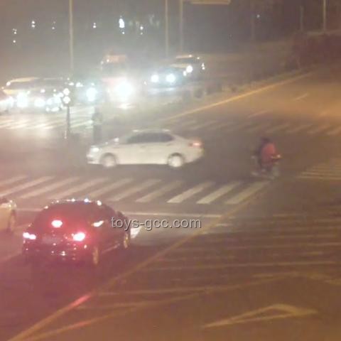 三亞游客被不明物咬傷身亡事件全梳理