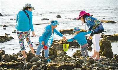 三亞旅游安全挑戰(zhàn)：游客被不明物咬傷身亡事件深度剖析