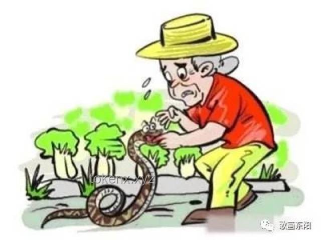 被蛇咬后的應急處理將更趨科學規范化