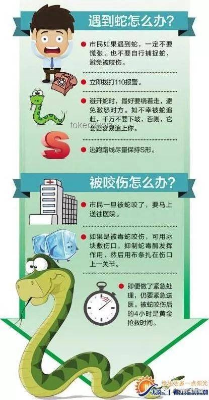 被蛇咬后的應急處理將更趨科學規范化