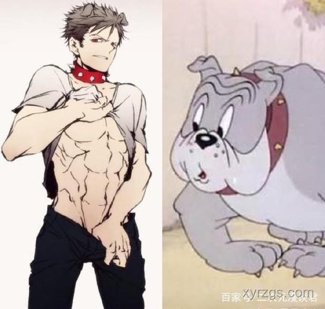 二次元老鼠干起源與影響對比分析
