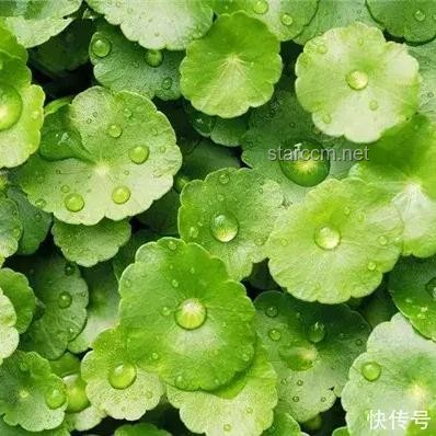 40℃高溫生存指南，應對酷夏必備知識