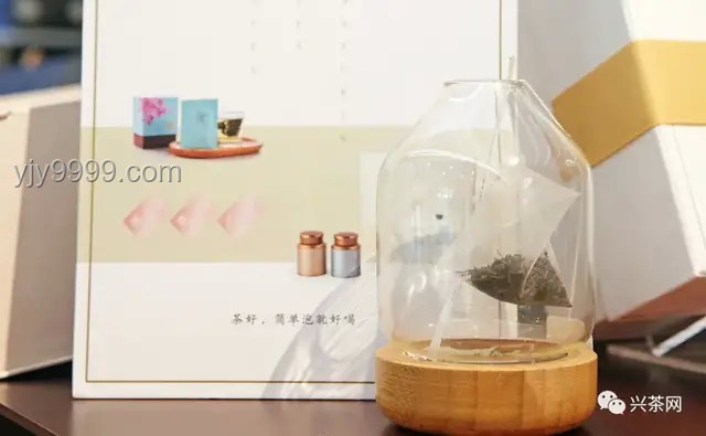 00后流行養“寵物酵母”：新潮流背后的深度剖析