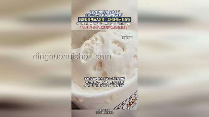 00后流行養“寵物酵母”，新奇又治愈