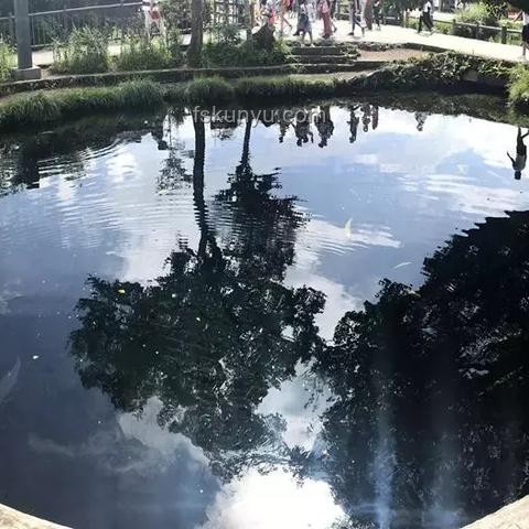 京都大學(xué)數(shù)據(jù)科學(xué)&東大情報(bào)理工CS合格經(jīng)驗(yàn)分享