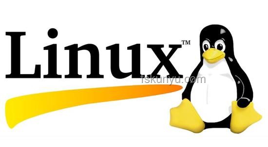 有沒有一個特別好用的 Linux 系統？推薦與指南