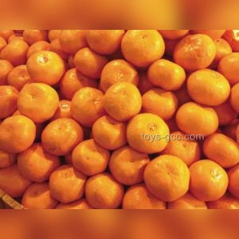 印尼考慮采購中國殲-10戰斗機：軍事現代化新動向
