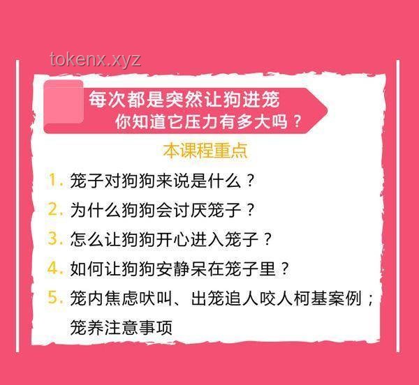 幸運食客中獎VS常規消費體驗：男子吃面中特等獎66666元案例分析