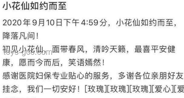 前妻告誡：張紀中如何避免沖突升級實用指南