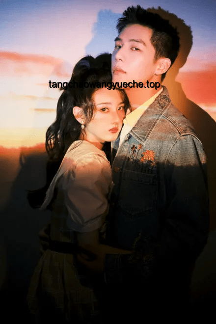 王安宇新劇與傳統(tǒng)“引導(dǎo)型戀人”對比分析