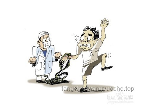 毒蛇咬傷啟示錄：跨界救援與應急創新