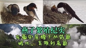 釣魚佬新風尚：出水瞬烹，禮遇自然之味