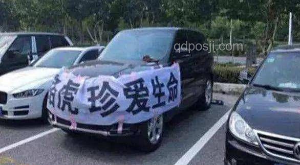 豪車車主求換985車牌助考：理性應(yīng)對(duì)與合法建議