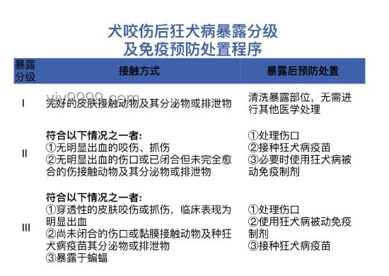 女生河邊散步遭蝮蛇咬傷：急救、防范與生態趨勢分析