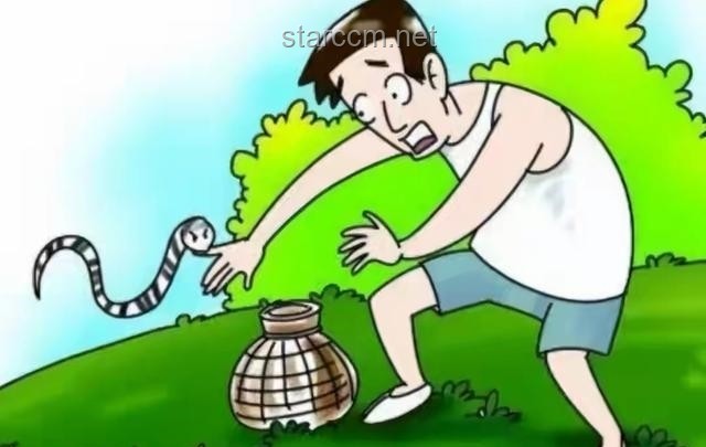 男子遭毒蛇咬傷 忍痛自救反遭二次咬傷案例研究