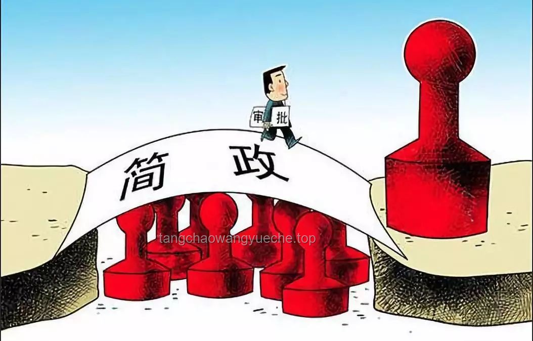 自行馬項目親歷記：王多魚的明智投資與我的創業啟示