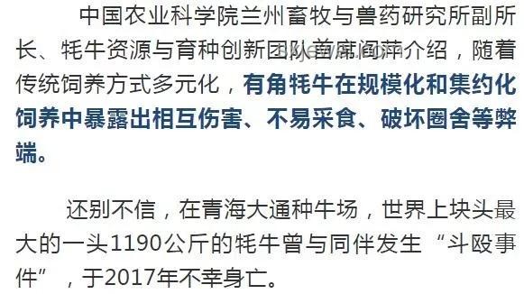 牛彈琴視角下的中美元首通話解析：掌握10個關(guān)鍵細(xì)節(jié)