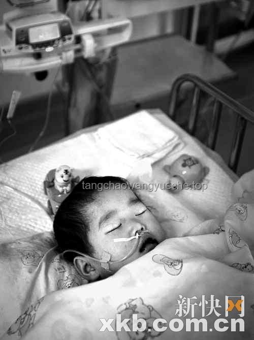 女童被虐致死案：了解生父“求死”后上訴全程指南
