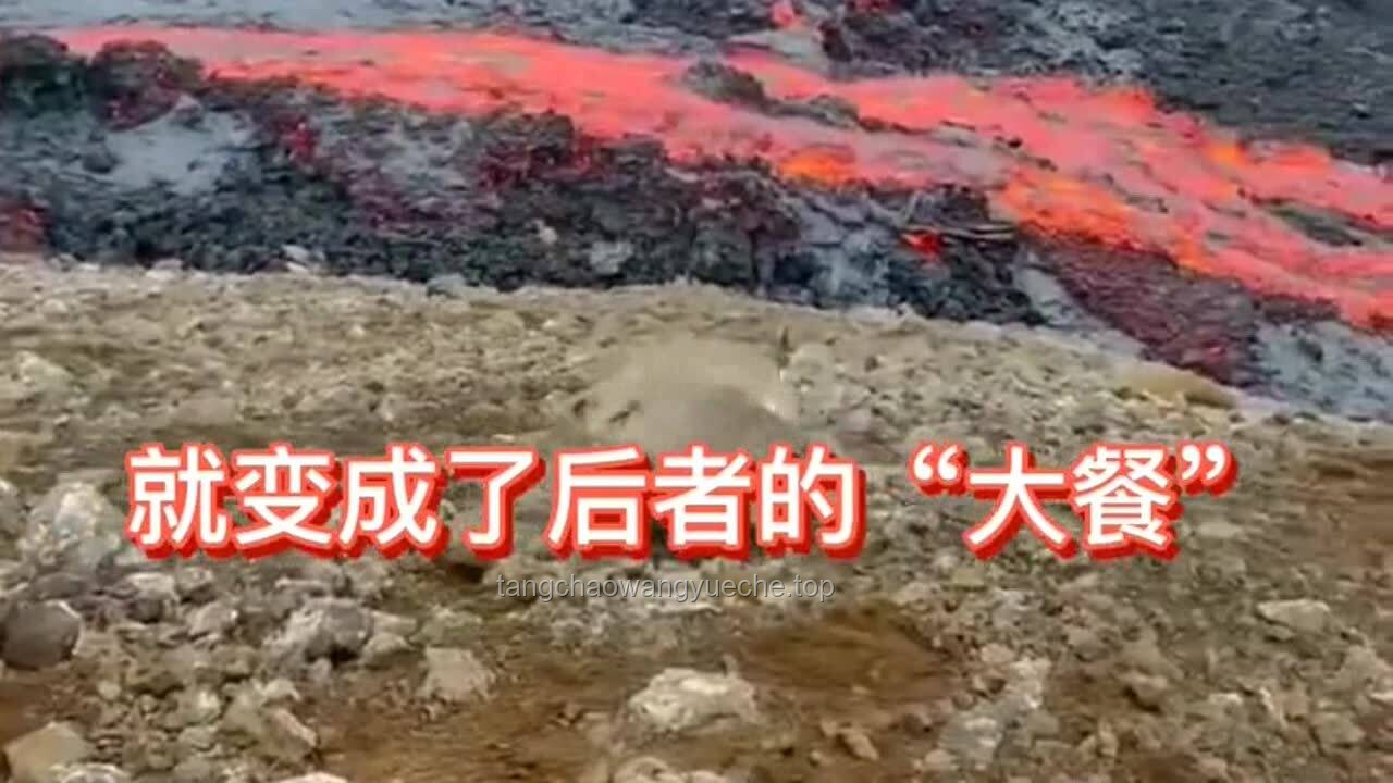 巖漿與鋼水混合能否讓石頭和鋼鐵融合？