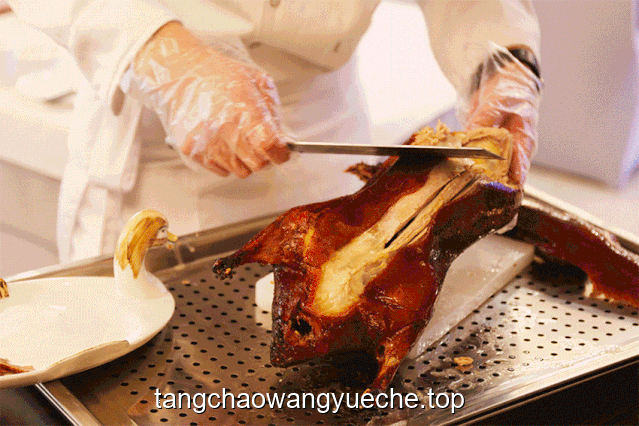 鴨肉的經典美食探索