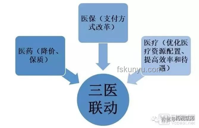 俄烏局勢新視角：創新思維下的和平變量探索