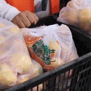 女子薅國家羊毛被判三年：法律與道德的雙重審視
