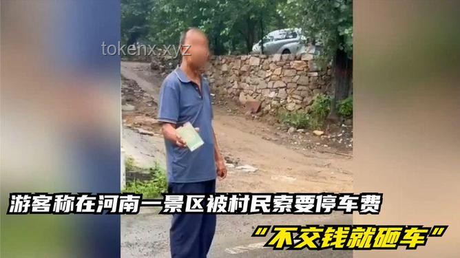 游客停車(chē)被打事件解析，當(dāng)?shù)毓俜饺绾位貞?yīng)