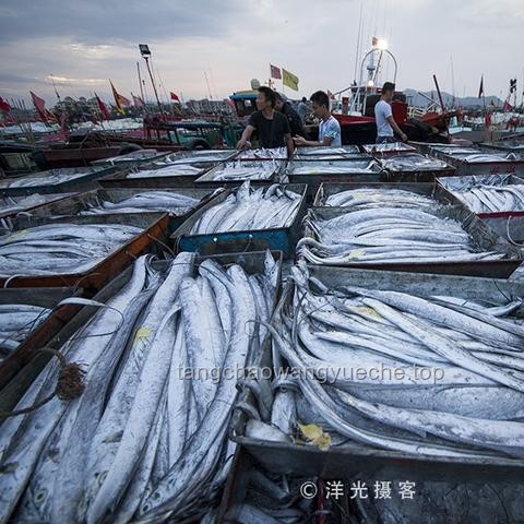 三亞女游客腸胃不適應對指南：家屬必看步驟