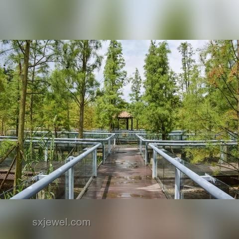 智能家居的理想態與中國品牌的突破之旅???