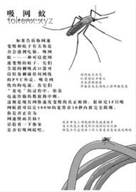 武夷山探險驚魂記：謠言止于智者，安全銘記于心??假消息