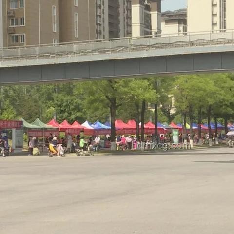 高考考場外全國統一動作：那些陪伴與守望的瞬間