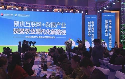 馬斯克黨：創(chuàng)新引領(lǐng)，重塑未來(lái)治理新藍(lán)圖