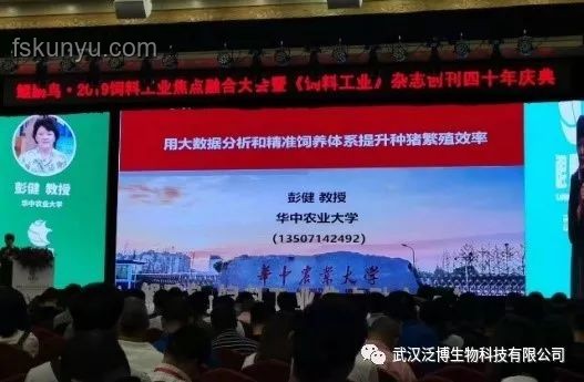 北大教授用大數據“種”出1426億棵樹，跨界生態監測新紀元
