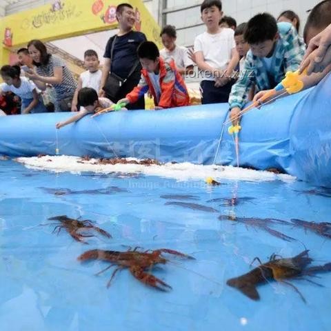 ??原著與游戲雙重盛宴：各自精彩的《無敵號》之旅