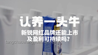 張小泉品牌復(fù)興：85后創(chuàng)業(yè)者撿漏策略與實(shí)施