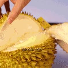 暴跌的榴蓮：價格變動背后的市場與產業鏈分析