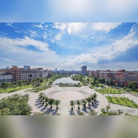 浙江家長車標改985現(xiàn)象透視：教育焦慮與心態(tài)轉(zhuǎn)變