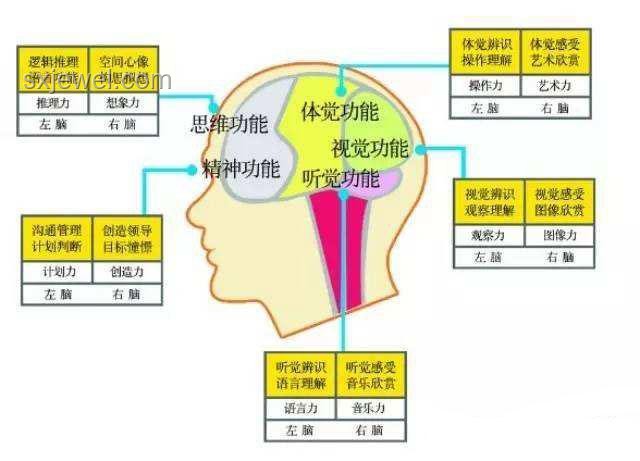 人腦為何不能刪除記憶？電腦與大腦的差異及解決方案