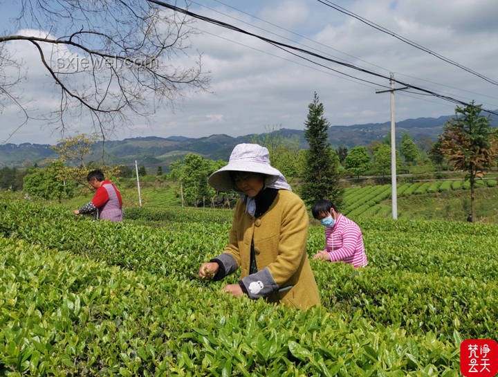 貴州玉米地深坑事件對行業(yè)的影響與洞察