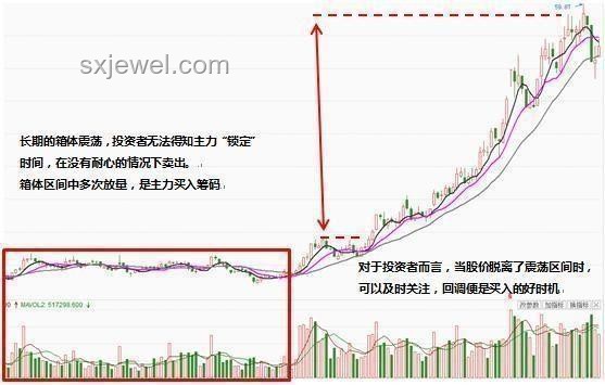“龍鱗鯉”現(xiàn)象引發(fā)熱議，未來珍稀水族市場趨勢如何？